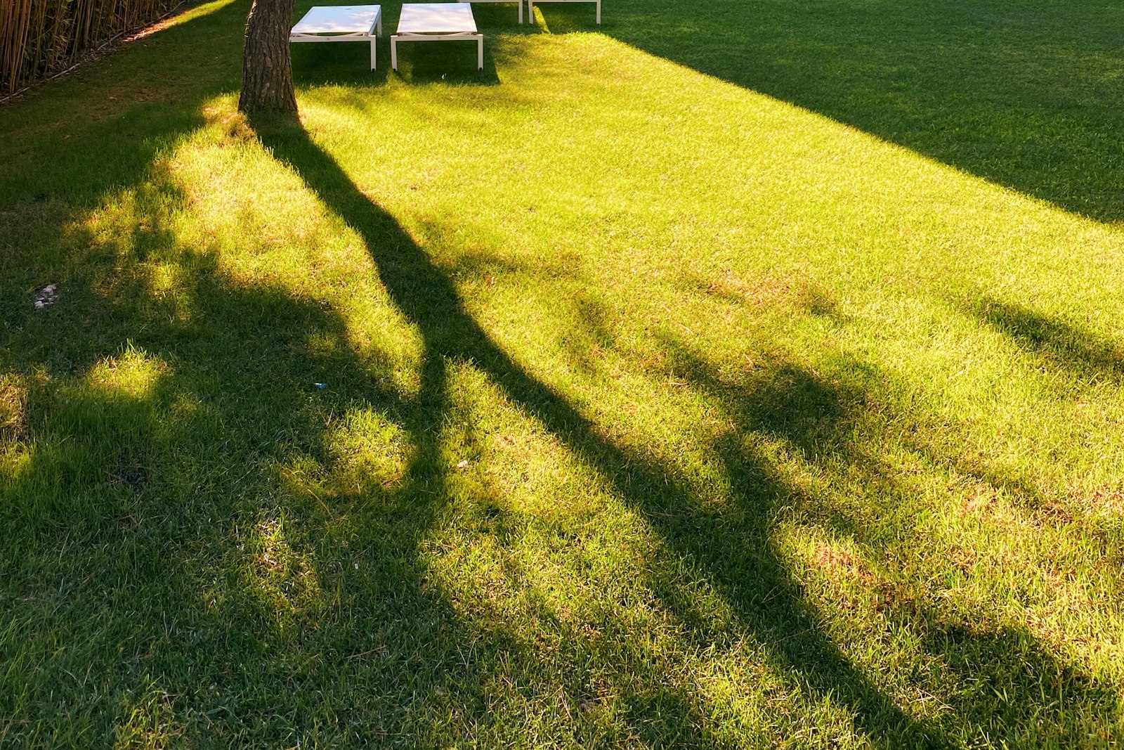 Villa moderna con piscina e giardino - Romano d'Ezzelino (foto 8)